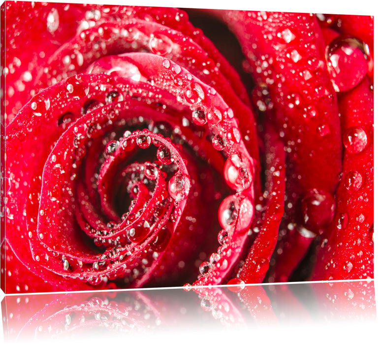 Pixxprint Rose mit Wassertropfen, Leinwandbild