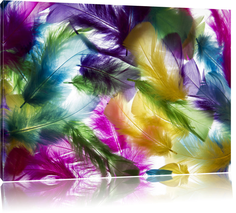 Pixxprint Anordnung von Federn, Leinwandbild