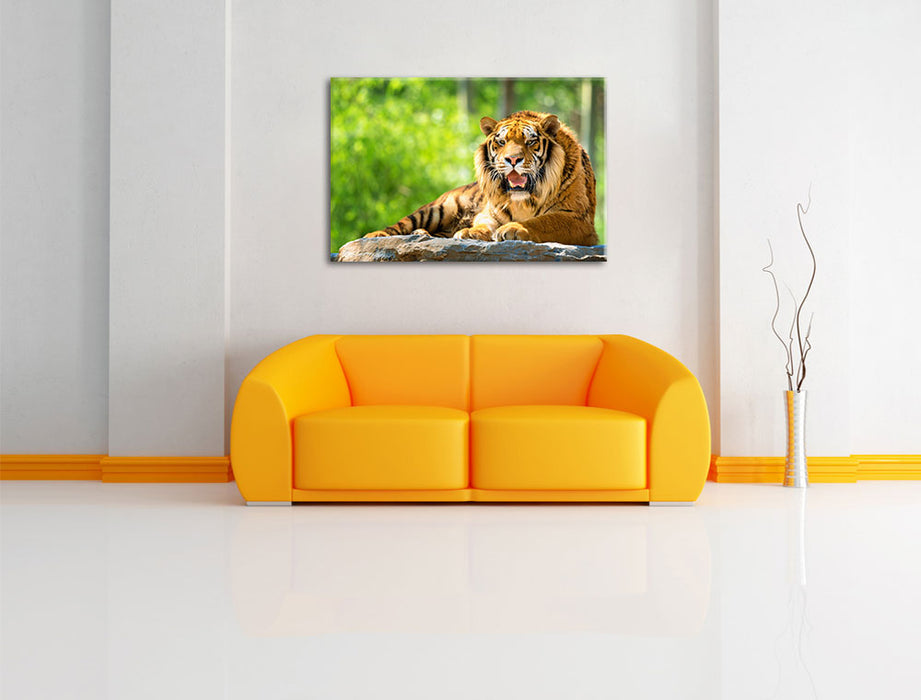 Tiger auf einem Stein Leinwandbild über Sofa