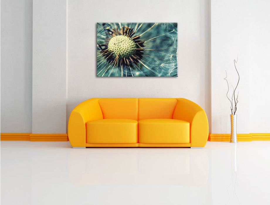 Nahaufnahme einer Pusteblume Leinwandbild über Sofa