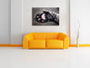 Schöne Katzenpfote Leinwandbild über Sofa