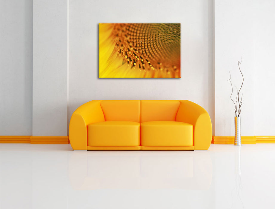 Wunderschöne gelbe Sonnenblume Leinwandbild über Sofa