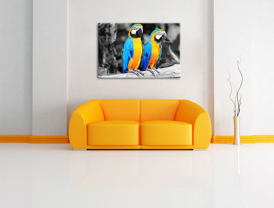 Zwei Papageien Leinwandbild über Sofa