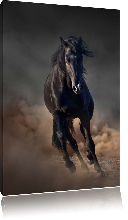 Elegantes schwarzes Pferd Leinwandbild