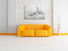 Pusteblume bedeckt mit Tropfen Leinwandbild über Sofa
