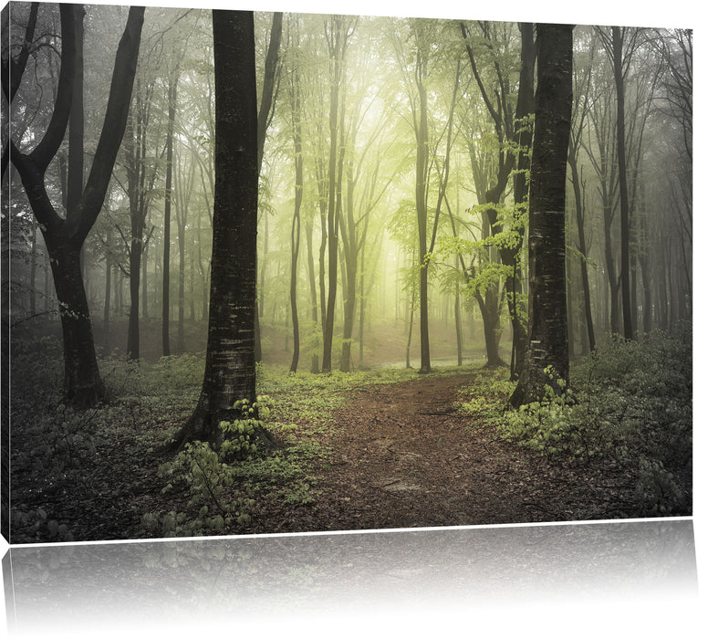 Pixxprint Weg im Wald, Leinwandbild