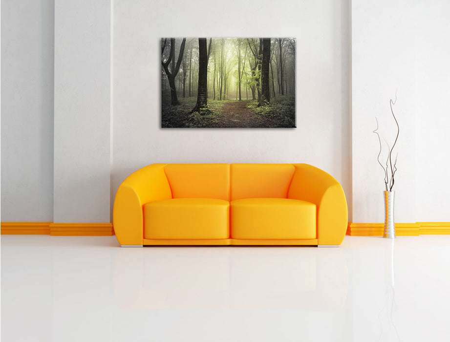 Weg im Wald Leinwandbild über Sofa