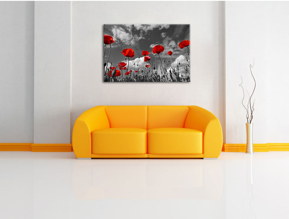 Wiese mit Blumen Leinwandbild über Sofa