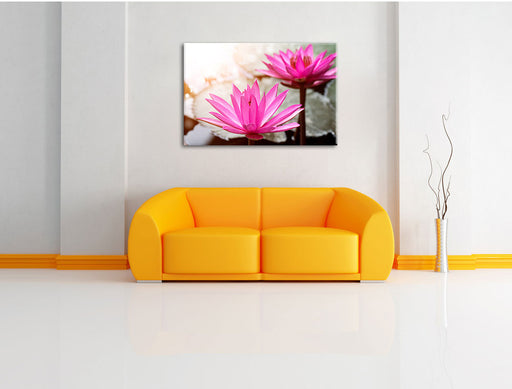 Lilafarbene Wasserlilie Leinwandbild über Sofa
