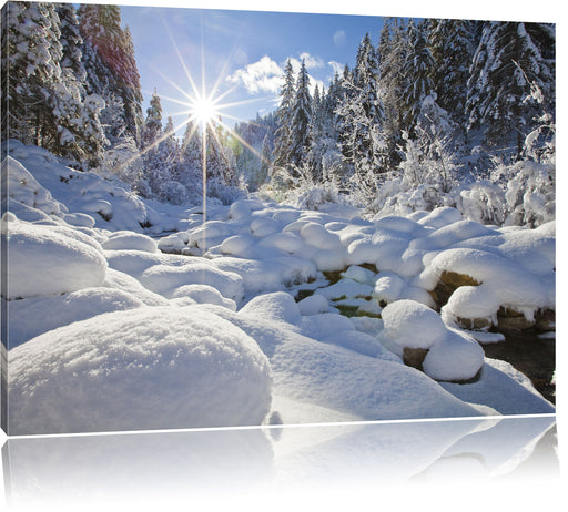 Sonnenstrahlen im Wald Leinwandbild