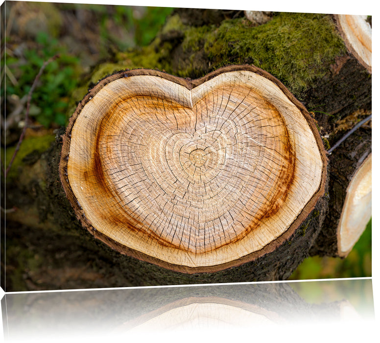 Pixxprint Jahresringe am Baumstamm, Leinwandbild