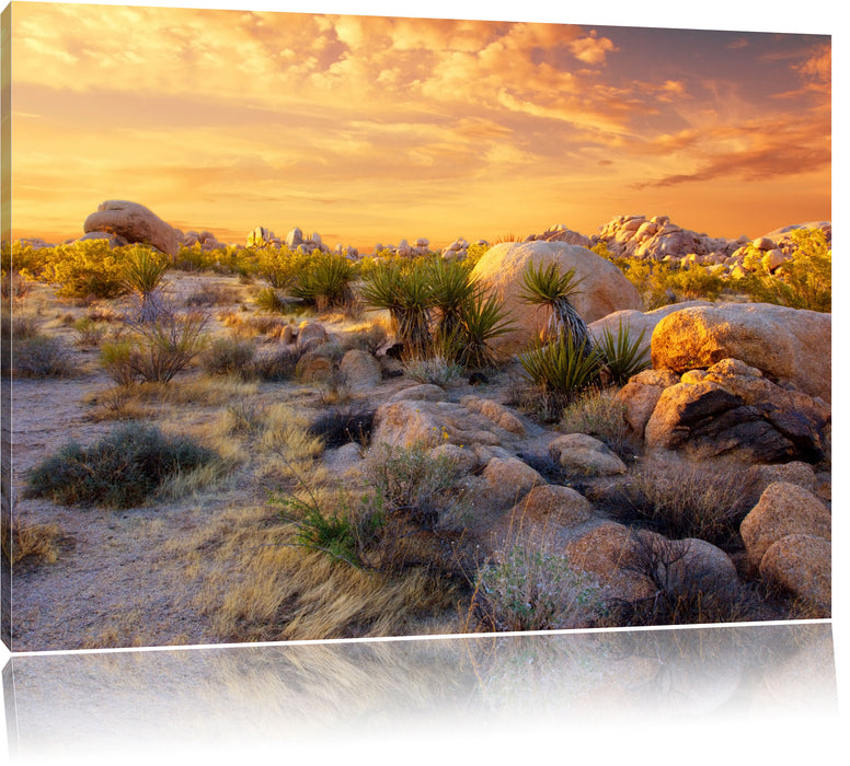Pixxprint Joshua Wüste im Sonnenuntergang, Leinwandbild