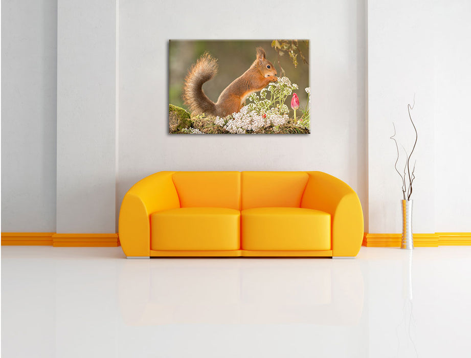 Nagendes Eichhörnchen im Moos Leinwandbild über Sofa