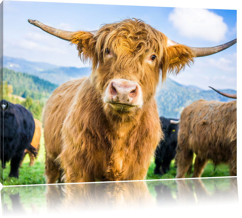 Pixxprint Blick einer Kuh an der Weide, Leinwandbild