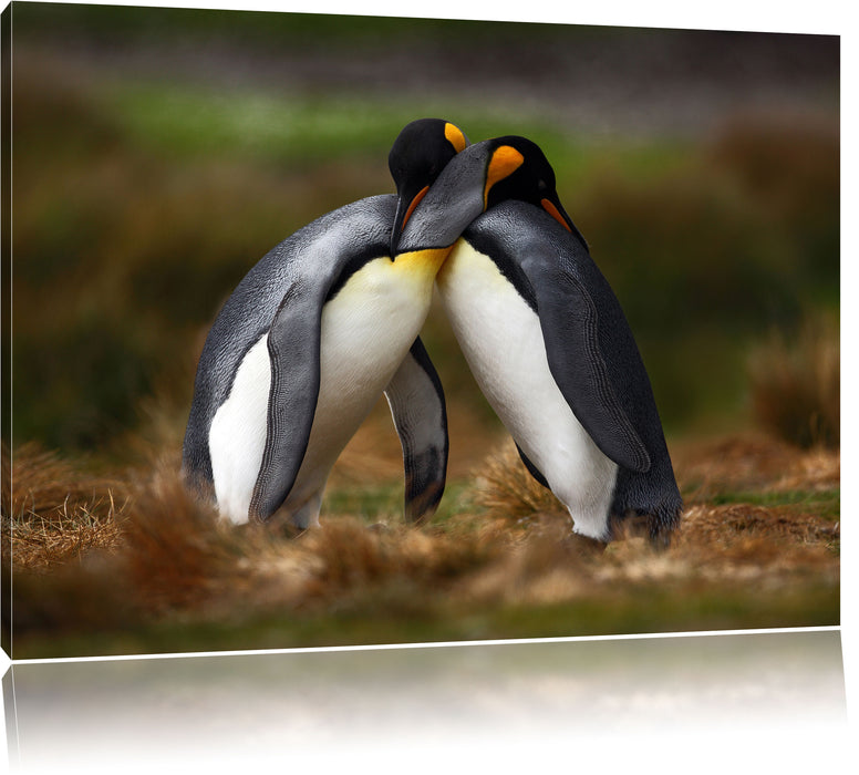 Pinguine in der Antarktis Leinwandbild