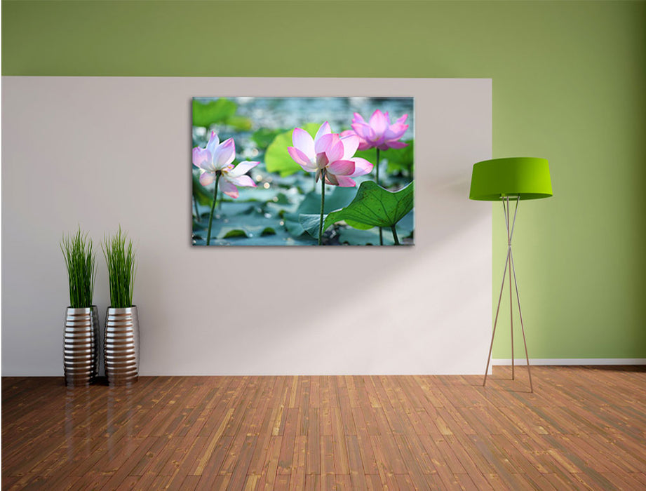 rosa Lotusblüte im Teich Leinwandbild im Flur