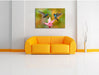 Zwei Kolibris in den Tropen Leinwandbild über Sofa