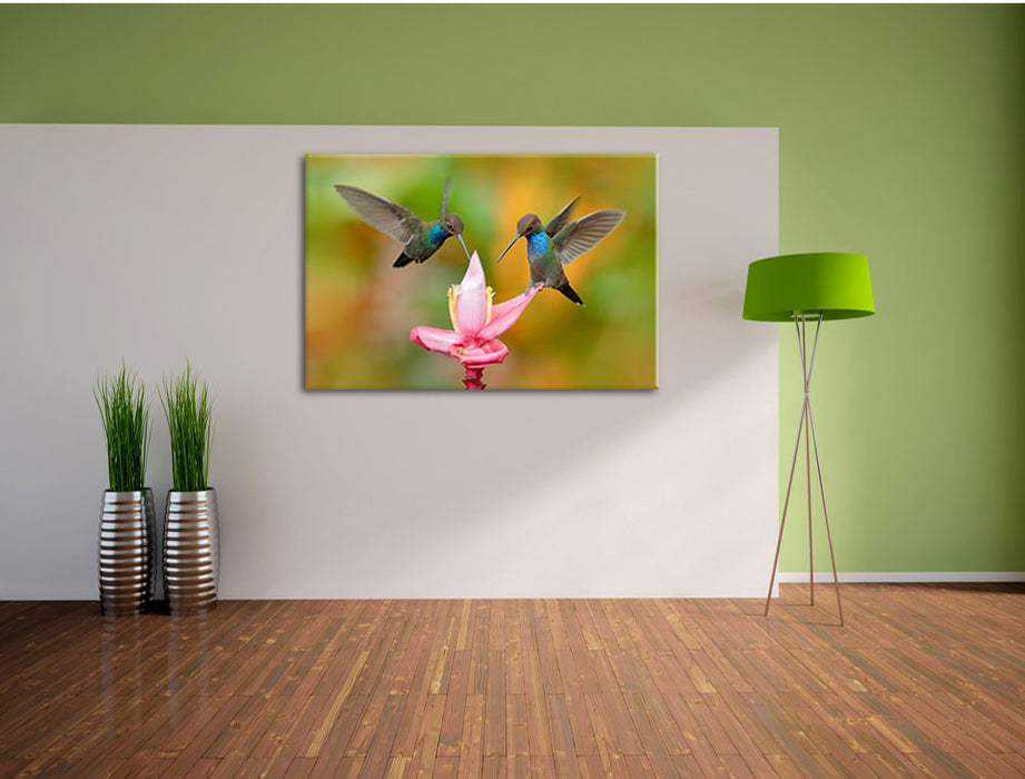 Zwei Kolibris in den Tropen Leinwandbild im Flur