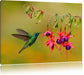 Kolibri trinkt vom Blütennektar Leinwandbild