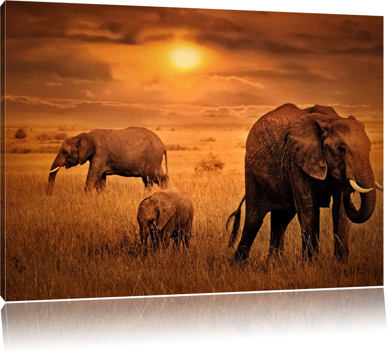 Elefanten in der Savanne Leinwandbild