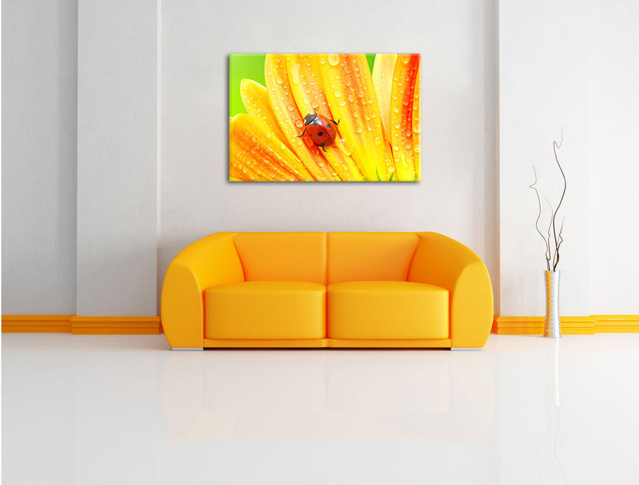 Marienkäfer auf gelber Blume Leinwandbild über Sofa