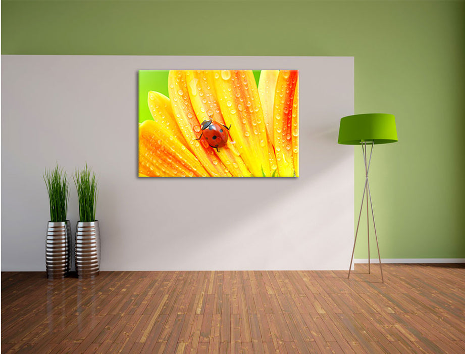 Marienkäfer auf gelber Blume Leinwandbild im Flur