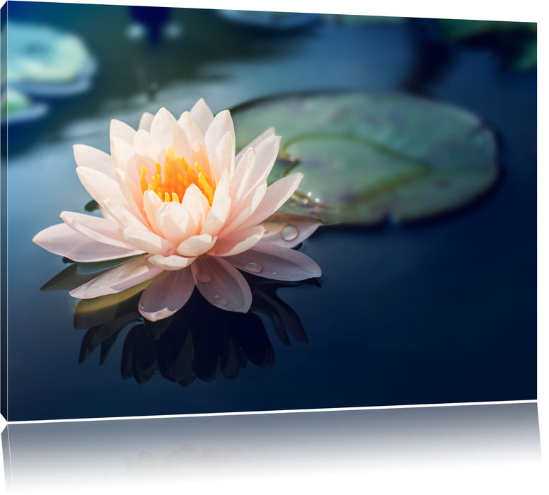 Eine rosa Lotusblume in Teich Leinwandbild