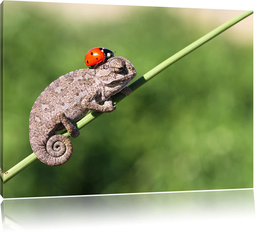 Süßer Gecko mit einem Marienkäfer Leinwandbild