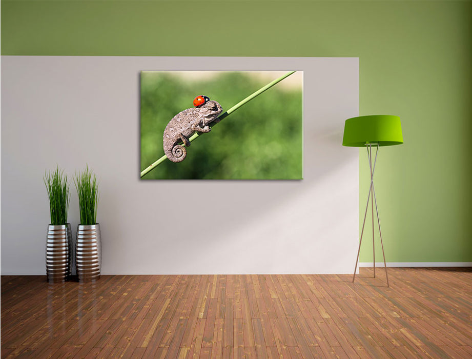 Süßer Gecko mit einem Marienkäfer Leinwandbild im Flur
