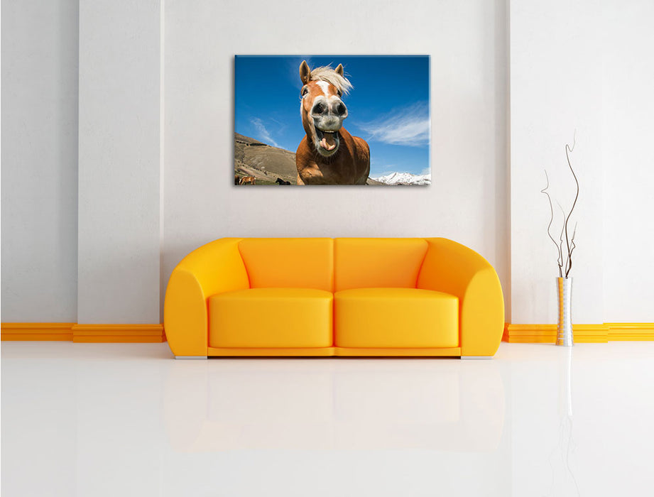 Lustiges Pferd in der Natur Leinwandbild über Sofa