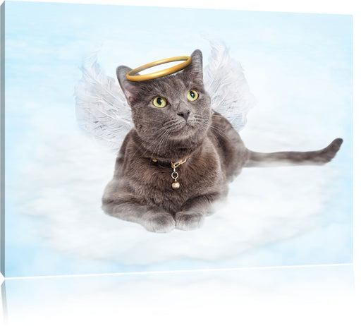 Katzen-Engel auf Wolke Leinwandbild