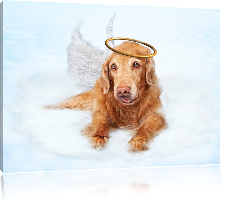 Pixxprint Hundeengel auf Wolke#, Leinwandbild