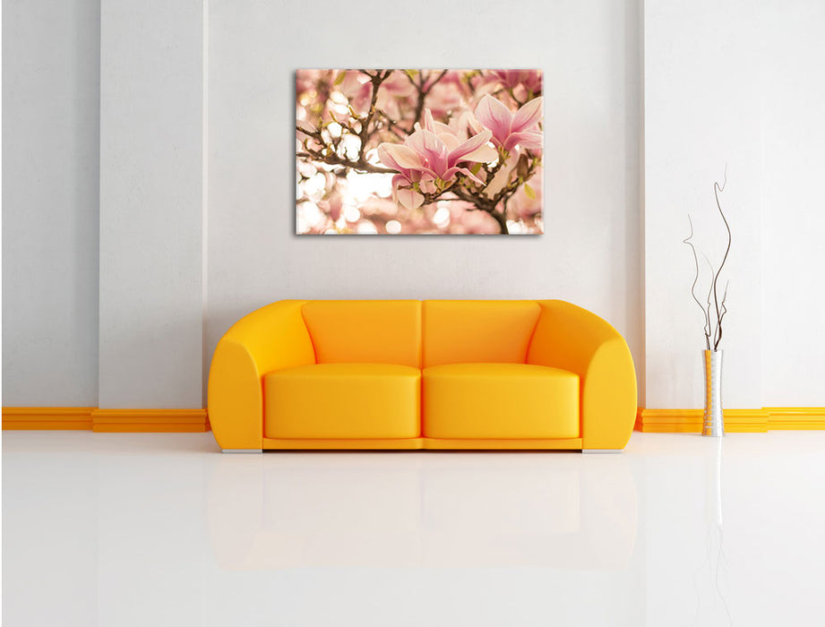 Rosa Magnolienblüten im Frühling Leinwandbild über Sofa
