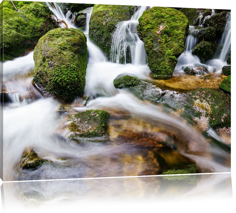 Pixxprint Gertelbach im Schwarzwald, Leinwandbild