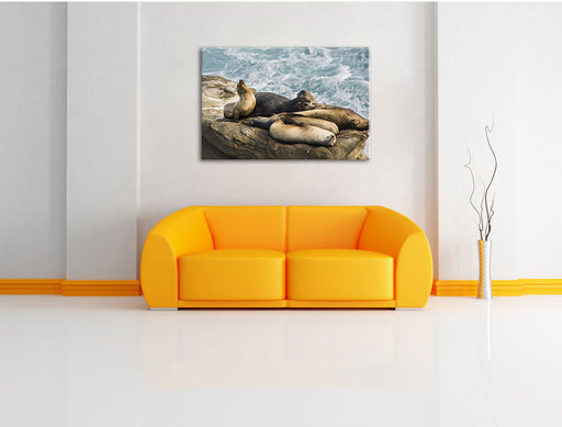 Seelöwen an einer Bucht Leinwandbild über Sofa