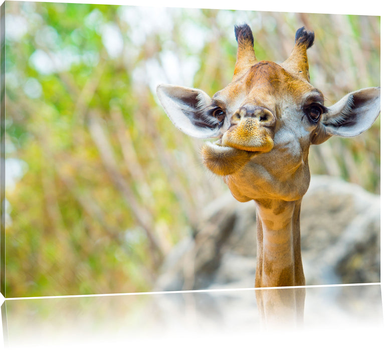 Pixxprint Giraffe in der Natur, Leinwandbild