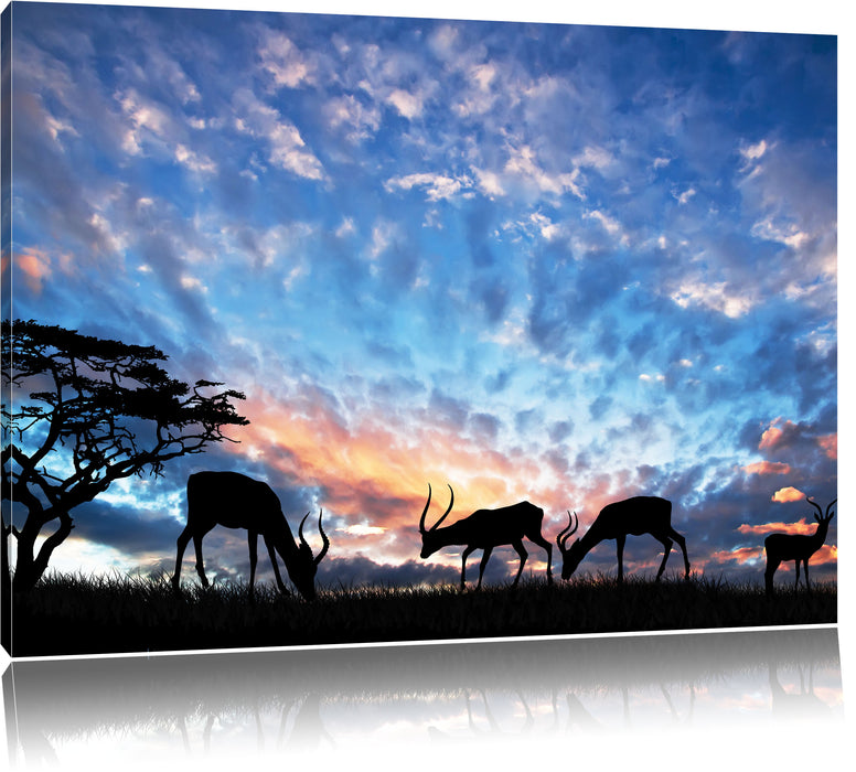 Pixxprint Tiere in der Natur am Abend, Leinwandbild