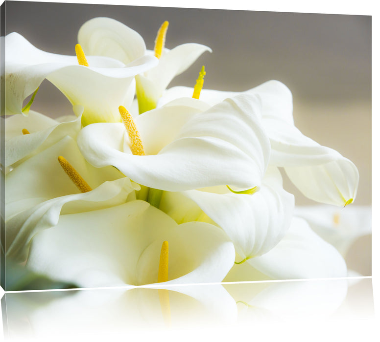 Pixxprint Wunderschöne weiße Calla Lilien, Leinwandbild