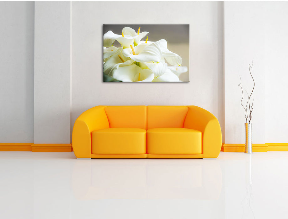 Wunderschöne weiße Calla Lilien Leinwandbild über Sofa