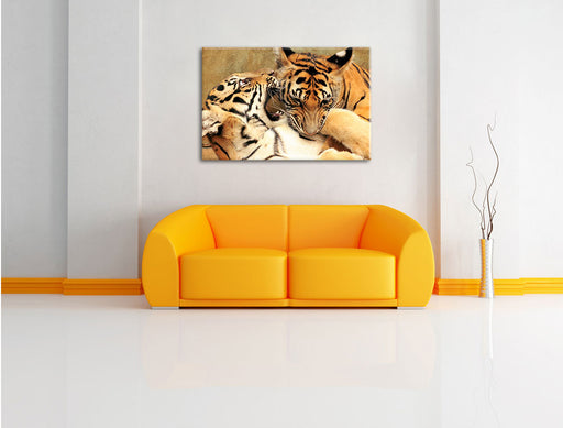 Zwei junge Tiger beim Kämpfen Leinwandbild über Sofa