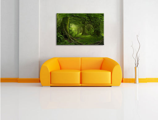 Dschungel im Regenwald Leinwandbild über Sofa