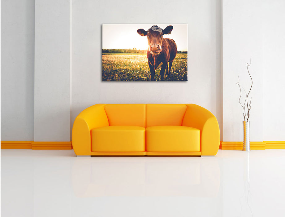 Kuh auf Blumenwiese Leinwandbild über Sofa