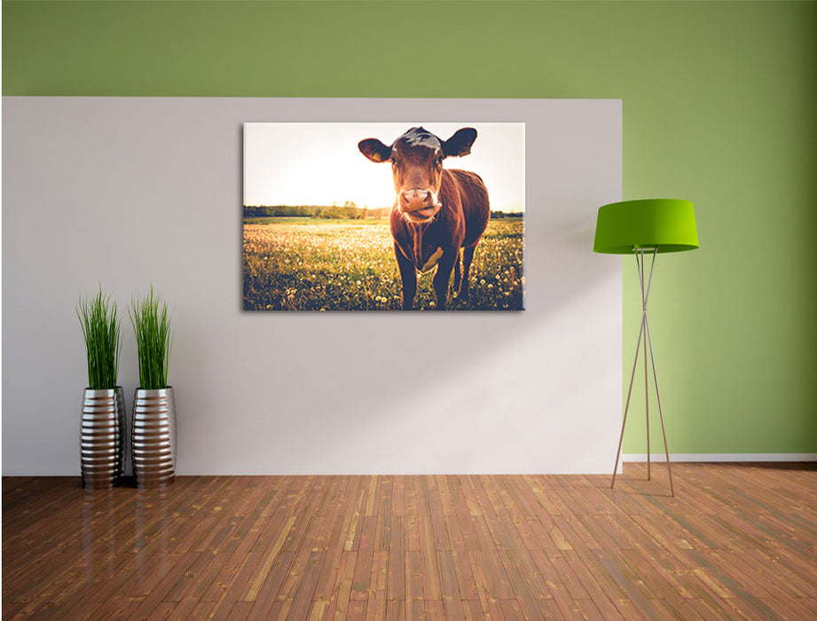 Kuh auf Blumenwiese Leinwandbild im Flur