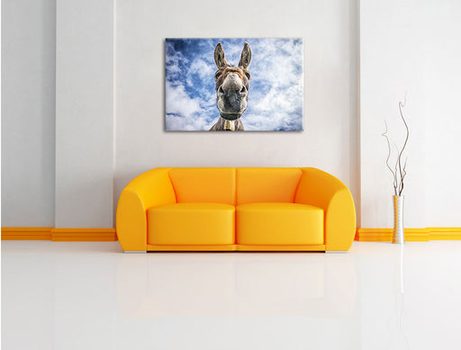 Lustiger Esel Leinwandbild über Sofa