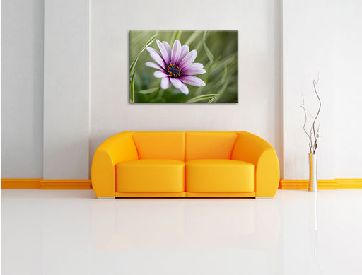 Blume in der Natur Leinwandbild über Sofa