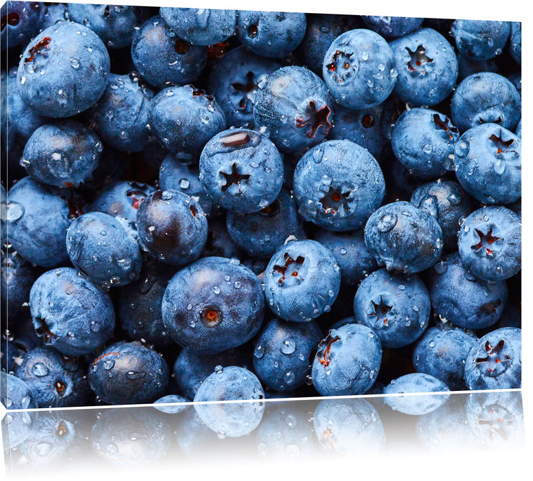 Blaubeeren mit Wassertropfen Leinwandbild