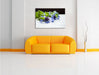 Notenblatt mit Kornblume Leinwandbild über Sofa