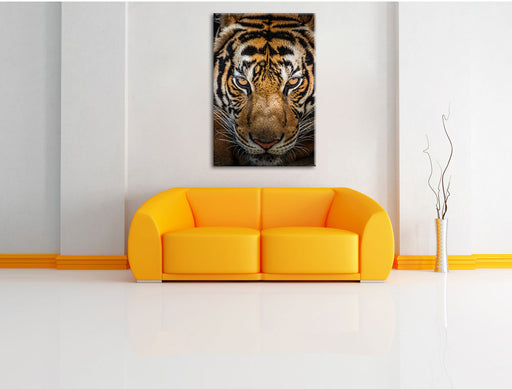 Tiger mit hellbraunen Augen Leinwandbild über Sofa