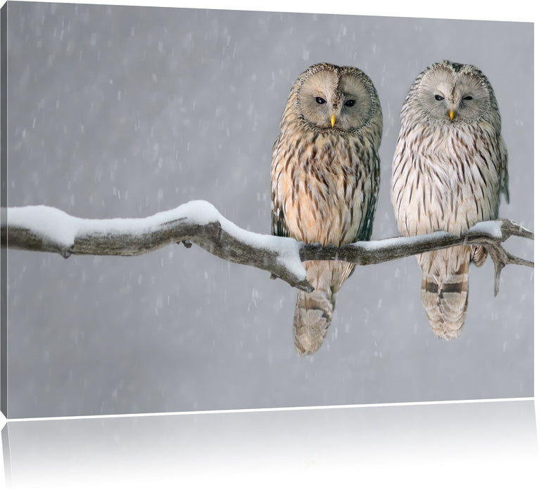 Pixxprint Zwei Eulen in Winterlandschaft, Leinwandbild