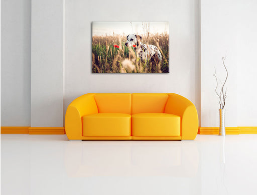 Neugieriger Hund im Feld Leinwandbild über Sofa